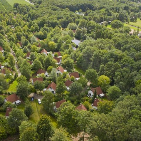 Summio Bungalowpark Het Drentse Wold - Camping Midden-Drenthe - Image N°2