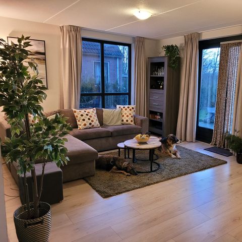 BUNGALOW 6 personnes - le géant flamand 195