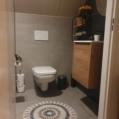 BUNGALOW 6 personnes - Forêt 217 Sauna