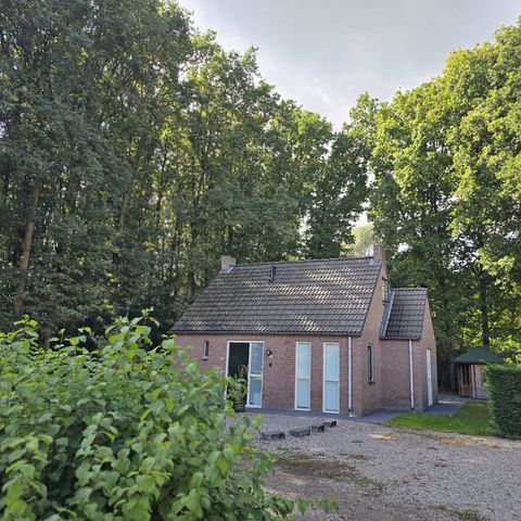Bungalow 6 personnes - Sauna Forest 117