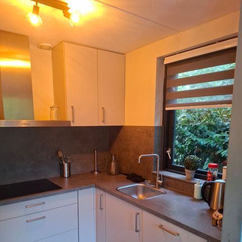BUNGALOW 6 personnes - Forest 277