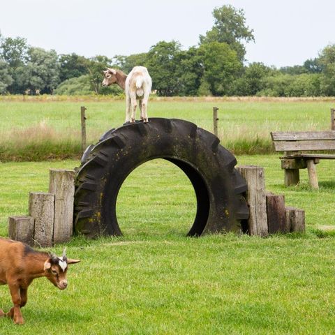 Landschapspark Striks Erve - Camping Staphorst - Image N°6