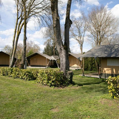 TENTE TOILE ET BOIS 6 personnes