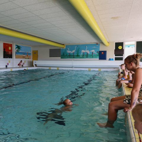 Recreatiepark De Scherpenhof - Voorst - Image N°4