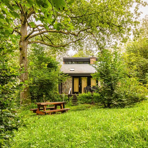 BUNGALOW 6 personnes - Klaverpad 2