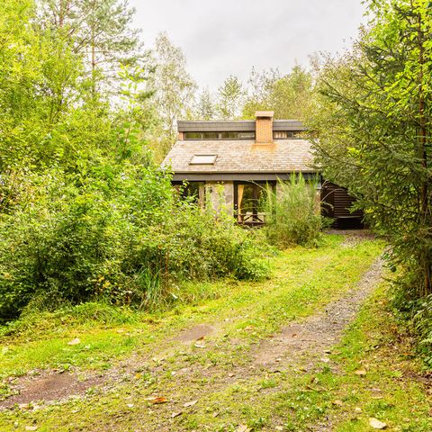 BUNGALOW 6 personnes - Route du bouleau 6