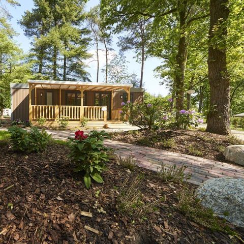 BUNGALOW 6 personnes - Forest Lodge Luxe