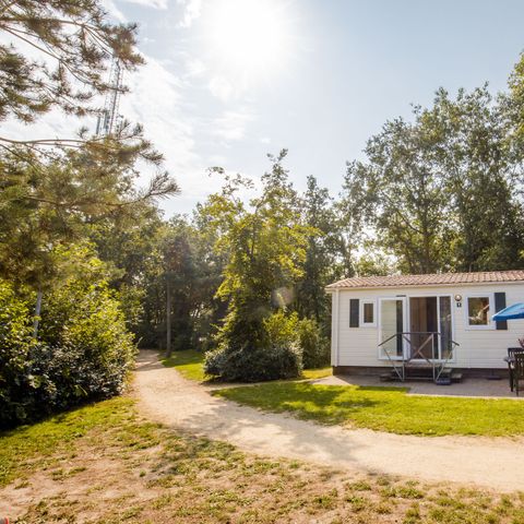 CHALET 5 personnes - Animaux acceptés (max. 3 adultes)