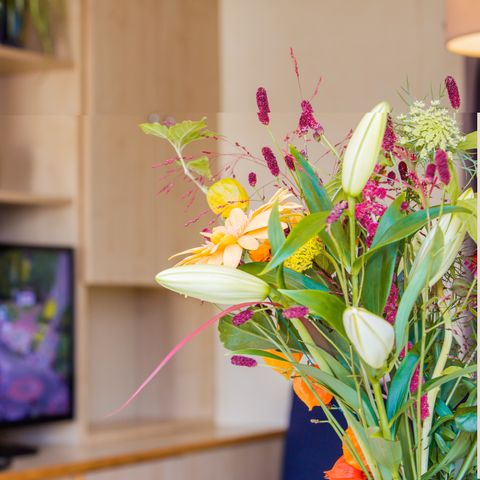 CHALET 5 personnes - Animaux acceptés (max. 3 adultes)