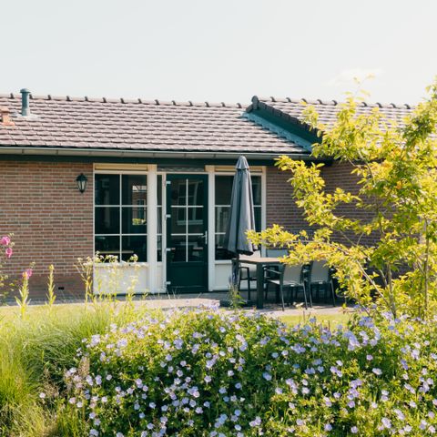BUNGALOW 6 personnes - Zeumeren