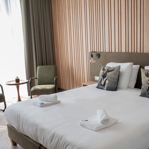 Chambre 4 personnes - Chambre familiale de luxe