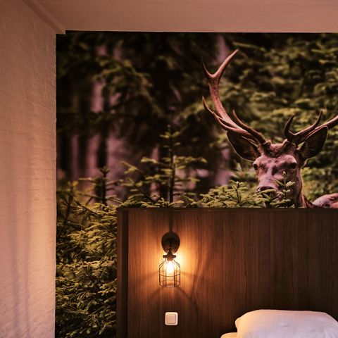BUNGALOW 6 personnes - Bien-être
