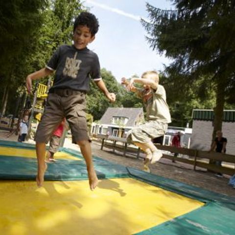 Vakantiepark De Bosrand - Camping Epe - Image N°4