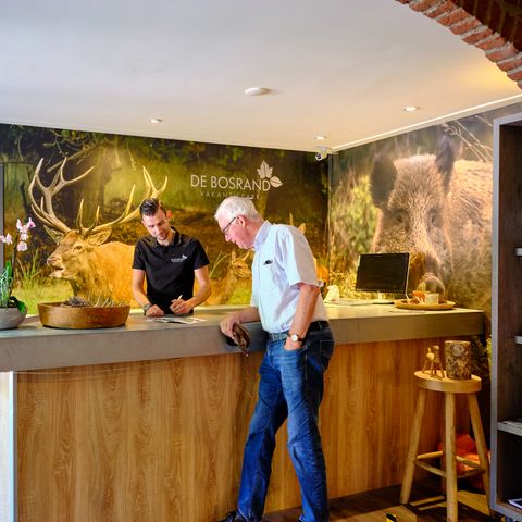 Vakantiepark De Bosrand - Epe - Image N°3
