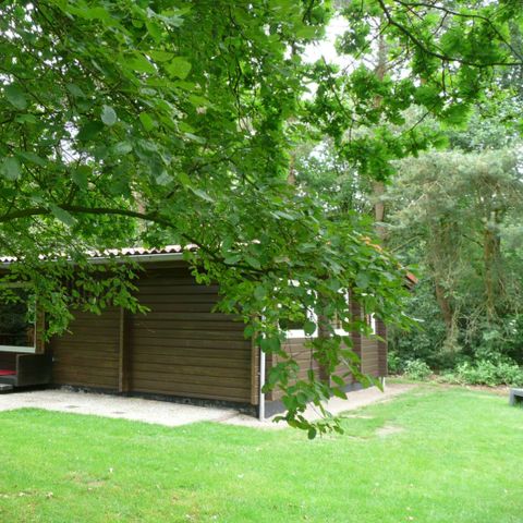 BUNGALOW 4 personnes - Bungalow finlandais