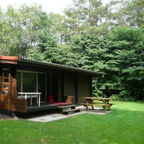 BUNGALOW 4 personnes - Bungalow finlandais