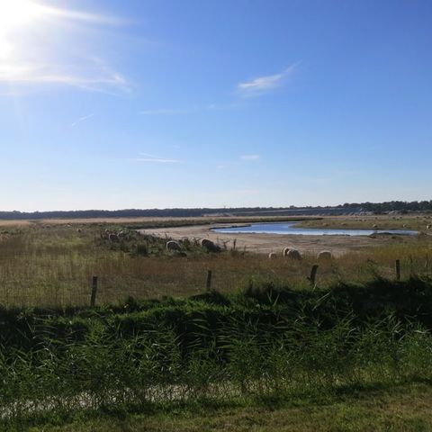 MAISON 6 personnes - Chalet de pêcheur