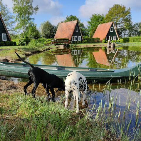 MAISON 6 personnes - Chalet de pêcheur
