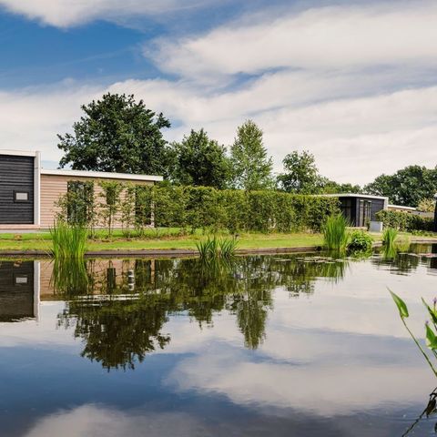 Lodge 4 personnes - Lodge Forest