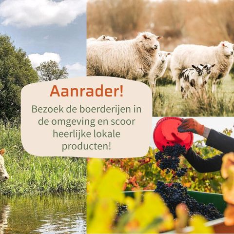 CHALET 4 personnes - Petite cabane avec bain à remous