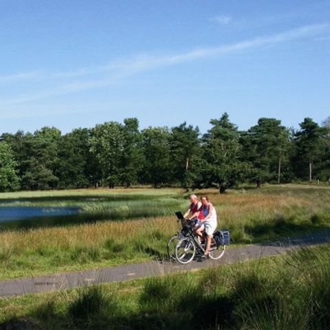 Buitenplaats Holten - Camping Rijssen-Holten - Image N°5