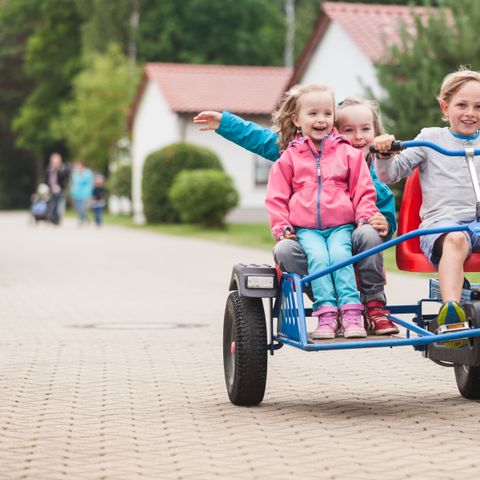 Trixi Ferienpark Zittauer Gebirge - Saxe - Image N°4