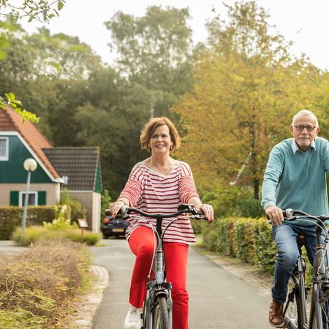 Landal Hunerwold State - Westerveld - Image N°5