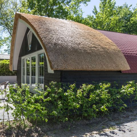 GÎTE 6 personnes - Cottage 4+2 Field