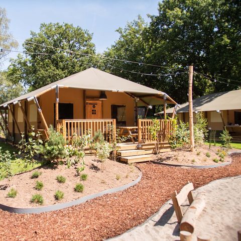 TENTE TOILE ET BOIS 6 personnes - Tente safari