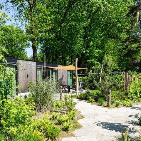 BUNGALOW 4 personnes - Veluwehoeve
