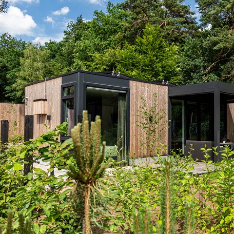 Bungalow 4 personnes - Veluwehoeve Wellness (bain à remous)