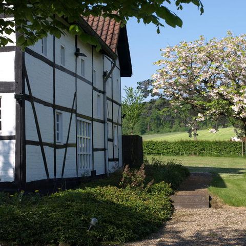 Buitenplaats De Mechelerhof - Gulpen-Wittem - Image N°5