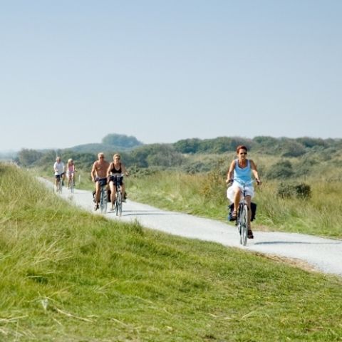 Parc Koudenburg - Camping Ameland - Image N°6