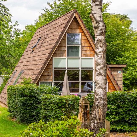 MAISON 4 personnes - Goldcrest