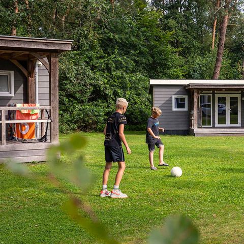 CHALET 6 personnes - Anémone