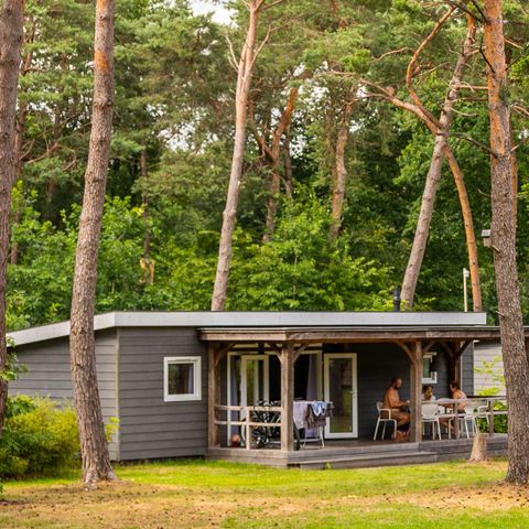 CHALET 6 personnes - Anémone