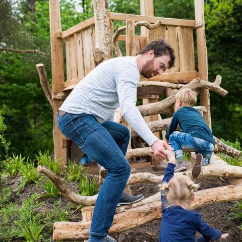 Landal Bungalowpark Hoenderloo - Apeldoorn - Image N°4