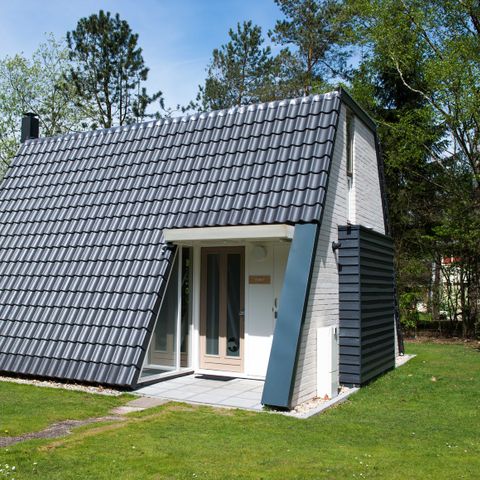 VILLA 4 personnes - Veluwe 4B