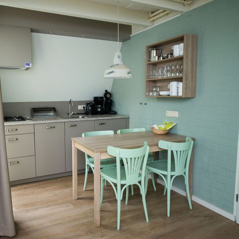 VILLA 4 personnes - Veluwe 4B