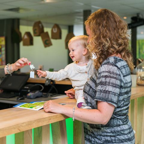 Landal Bungalowpark Hoenderloo - Apeldoorn - Image N°3