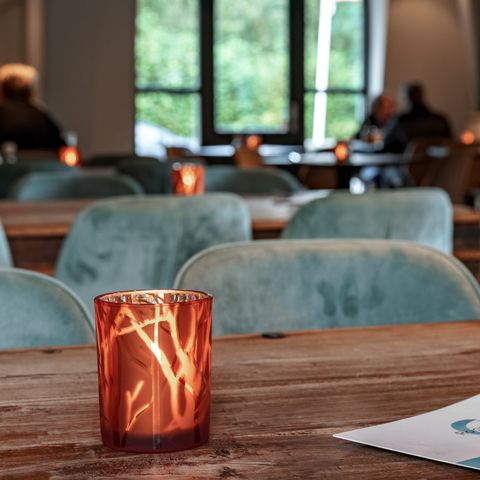 Landal Bospark Lunsbergen - Borger-Odoorn - Image N°6