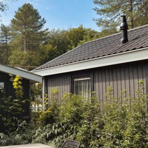 GÎTE 4 personnes - Cottage Forest Deluxe