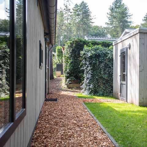 CHALET 4 personnes - Forest Lodge