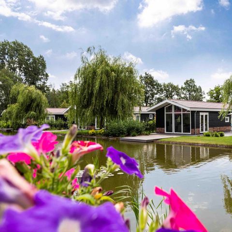 APPARTEMENT 5 personnes - Lindenhoeve