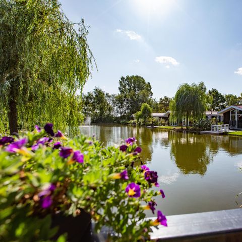 TopParken Residence Lichtenvoorde - Camping Ost-Gelre - Image N°3