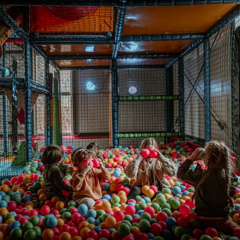 Vakantiepark Westerbergen - De Wolden - Image N°4