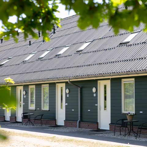 Horsetellerie Rheezerveen - Camping Hardenberg - Image N°2