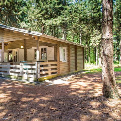 LODGE 4 personnes - Lodge Forest