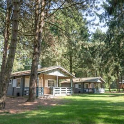 LODGE 6 personnes - Finse Lodge Plus