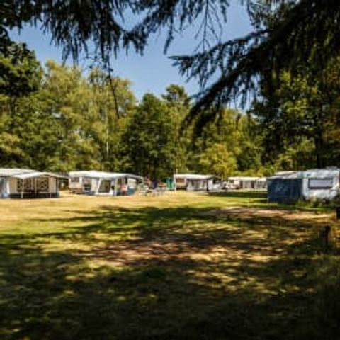 Emplacement - RCN de Flaasbloem - Camping
